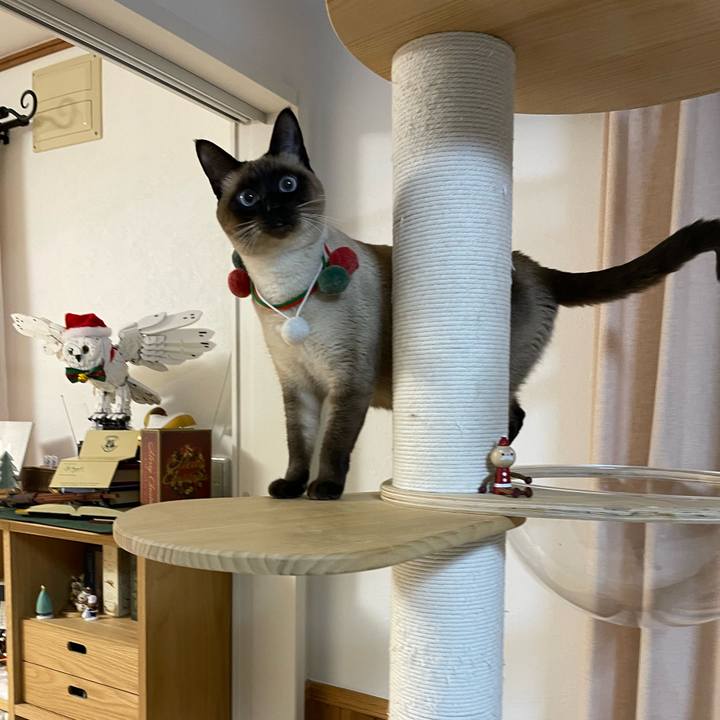 0d1c4db1 9dd6 4e97 9fae 7dad9d7e57c8 1732050570224