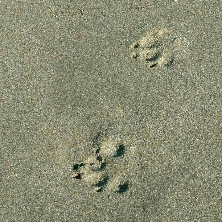 0d1c63ba 359b 4945 9b40 9b2621c7e310 1518348482689