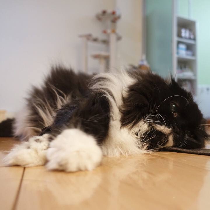 0d1c6672 4edc 4c55 a207 df1105bcf2df 1558537028202