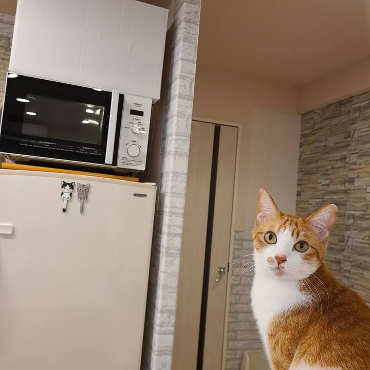 0d1cac73 6a24 4567 aa17 1f34f4ed62da 1644397546267