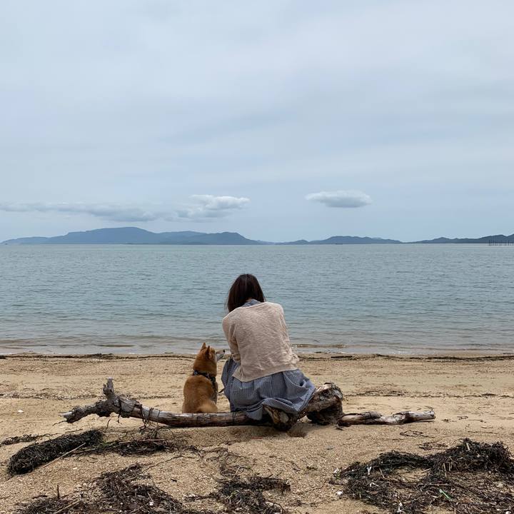 0d1caf22 cf5a 4a11 b72a cde58f69e247 1592627982849