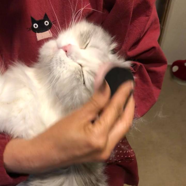 0d1cbe5d ba52 409a 8bb4 a10fd000e3a8 1622118471964