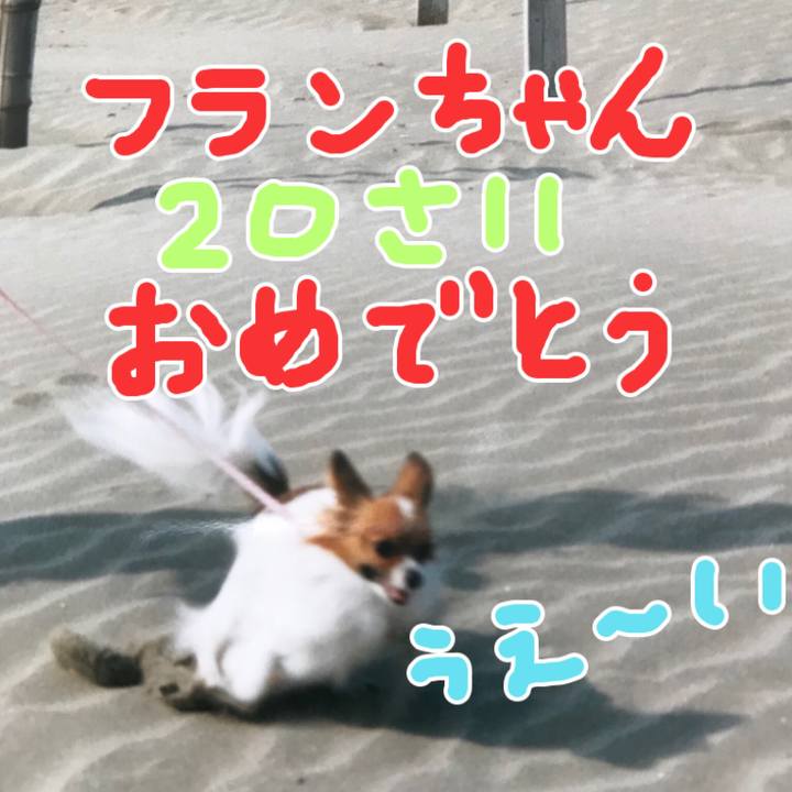 0d1cd480 db6c 4da8 a01a e984ce233ee3 1523394283410