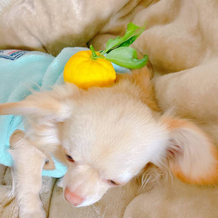 0d1cde9d c152 42d0 b842 49a3051c5392 1640173748259