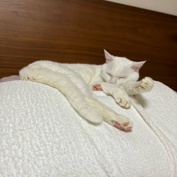 0d1cf248 291d 4d7e a901 75bcbaaaf876 1663577896737