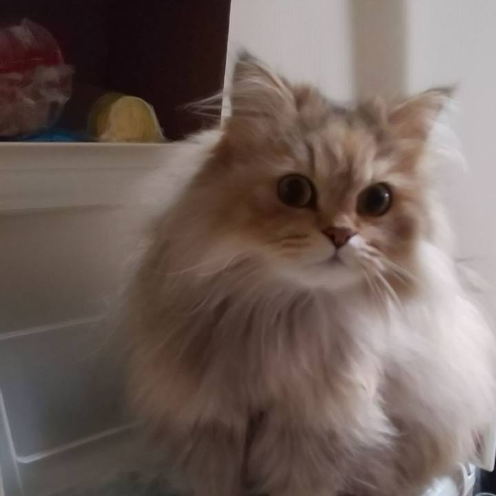 0d1d2765 b97a 4284 ac37 5dc9b04a1845 1615908420527