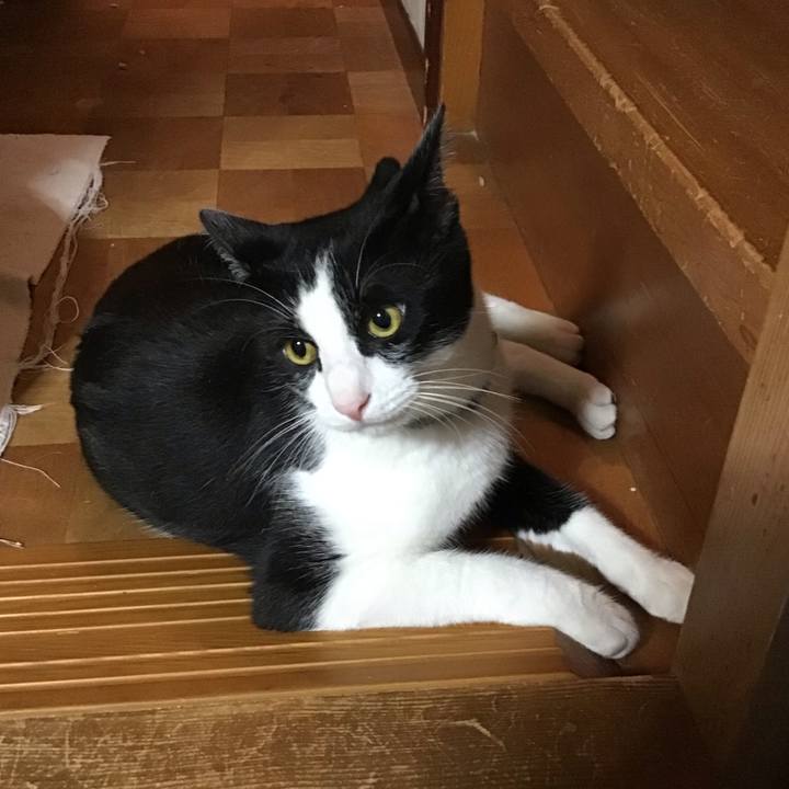 0d1d3717 1263 42a5 bcbb 432b5a4f7176 1661250801971