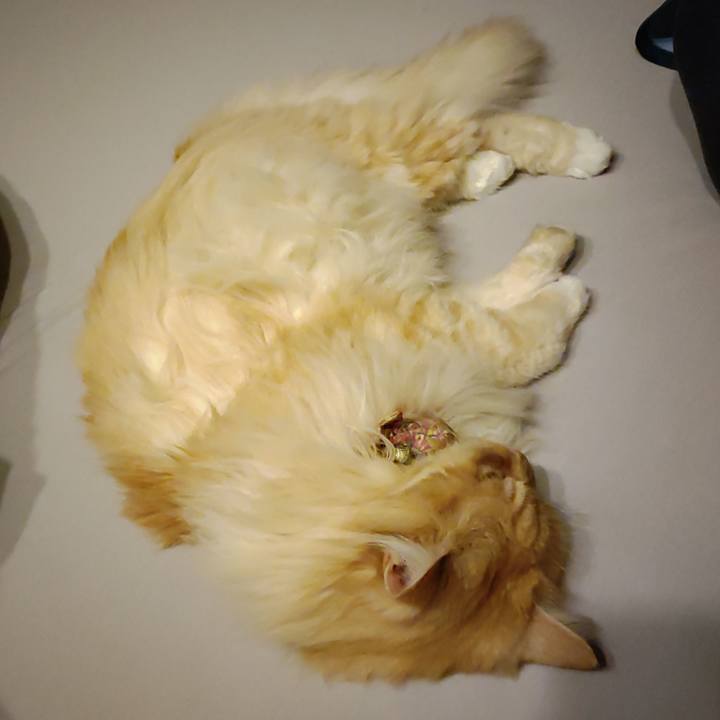 0d1d4a72 c651 4ccd b223 36c43c13c970 1714132188770