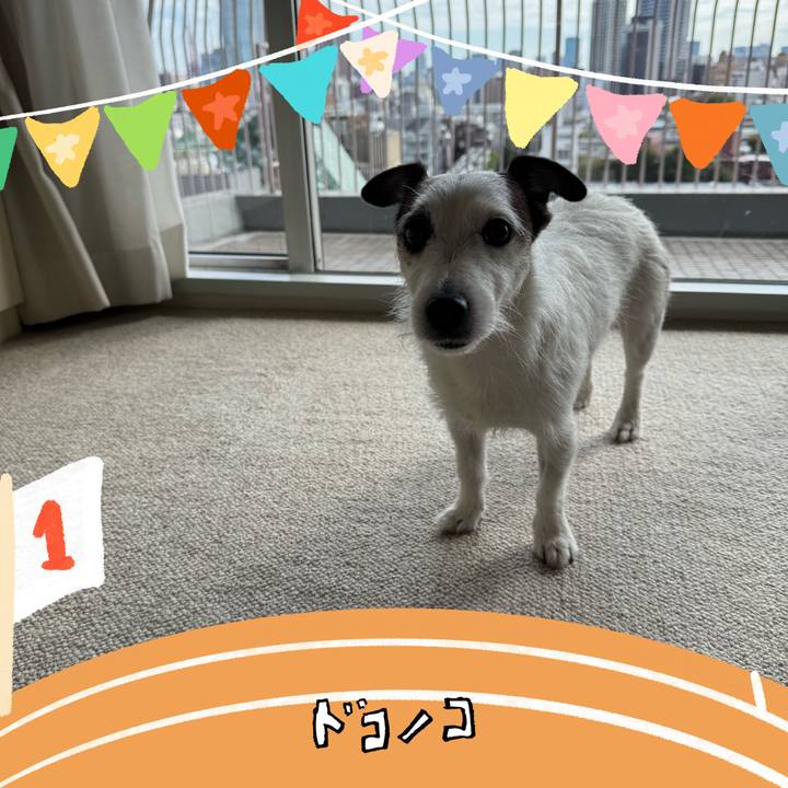 0d1d4dd0 2007 4b5c 8639 ec0c18cfddab 1761884659675