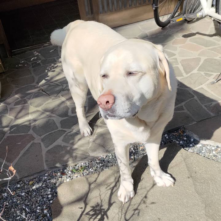 0d1d5a2a ca00 4144 9795 89362cd7c319 1677129644977