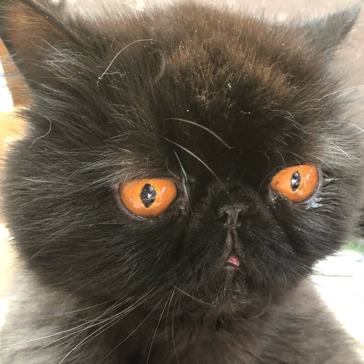 0d1d9eb1 80ab 424e 90fa ac6f99261ab6 1668754336568