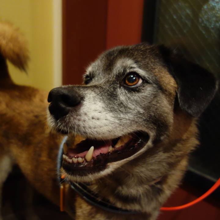 0d1dd8c4 7a0a 4a25 9f04 c294276aba36 1614988898921