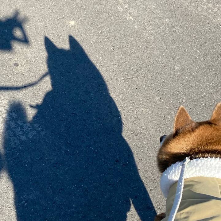 0d1e03ef 9bca 487c 8886 2ee7f8fe050e 1736819041449