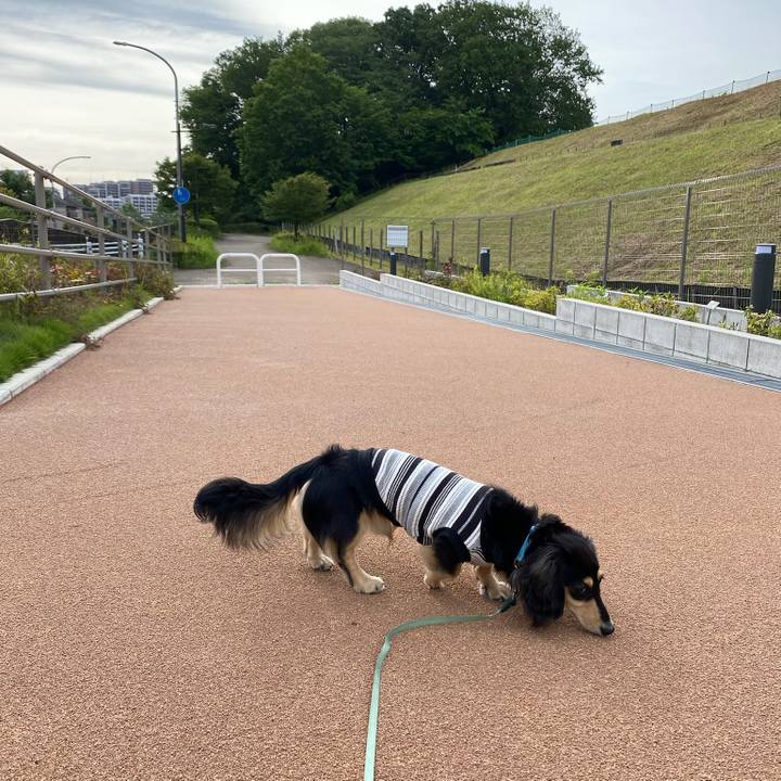 0d1e0b23 9c25 4544 95cf 6a1bcd7f08c4 1685055409311