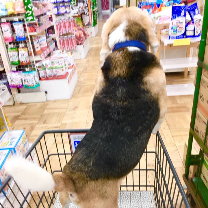 0d1e2210 0913 4b1d af3d 6eea3e443980 1574828607355