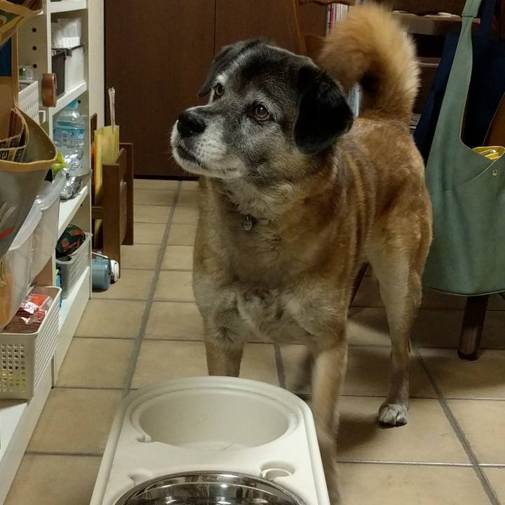 0d1e98db 25a2 44c6 ab43 6bdbdb9dfe8f 1521026046476