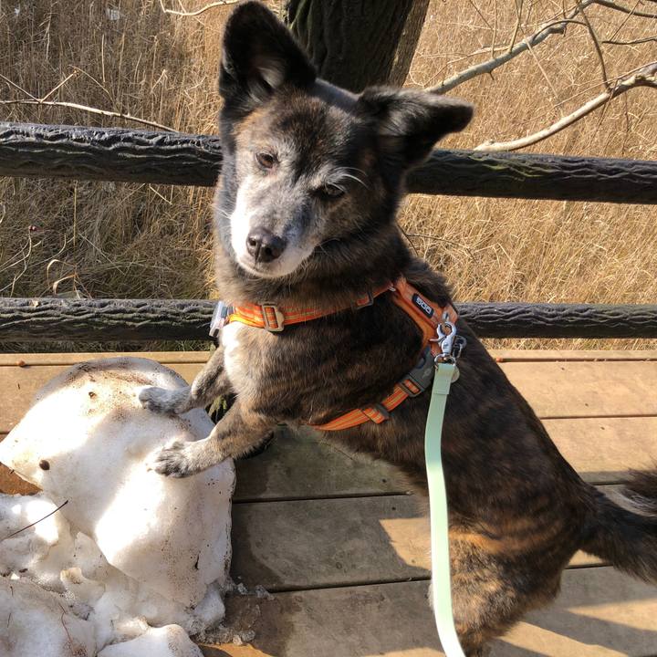 0d1ea76b df54 46ef 91a6 e59b9fcd4fd0 1706408862721