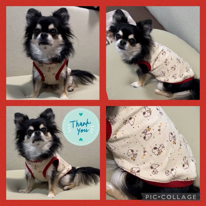 0d1f0055 1a47 47b6 9fad ec0c4fdb0b27 1700956693469