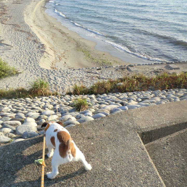 0d1f1e76 6c4d 4c59 bc76 9569a6c75875 1530182286549