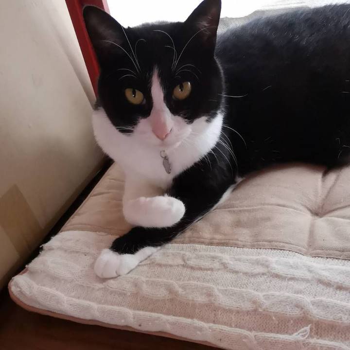 0d1f1f09 3384 4bfe ae08 c88703451db5 1631161006818