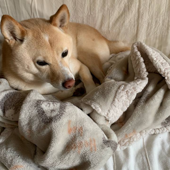 0d1f2ddf 9e00 440d 86e4 3c6ff3591bd2 1638934867464