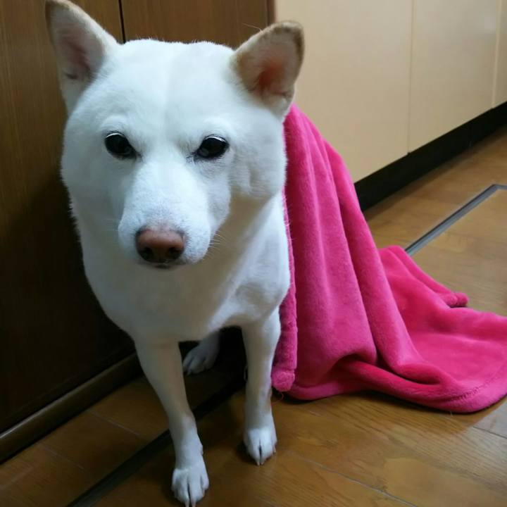 0d1f2e47 56cd 4e4a 8064 c1327e2a8eef 1518141806243