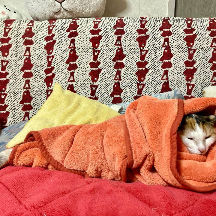 0d1f4bdf a95e 4003 bca0 cfe8ee50fca1 1606297385170