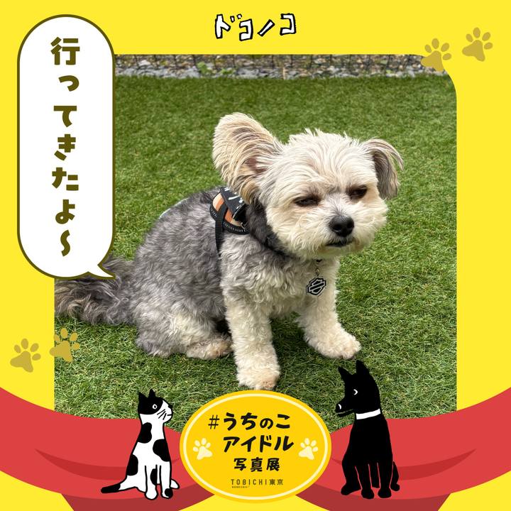 0d1f4d18 90ee 461d a020 42df6e03d13f 1761192441174