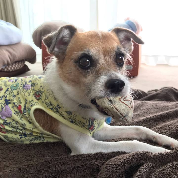 0d1f5106 2ff2 4775 a038 2a2624208482 1567663320442