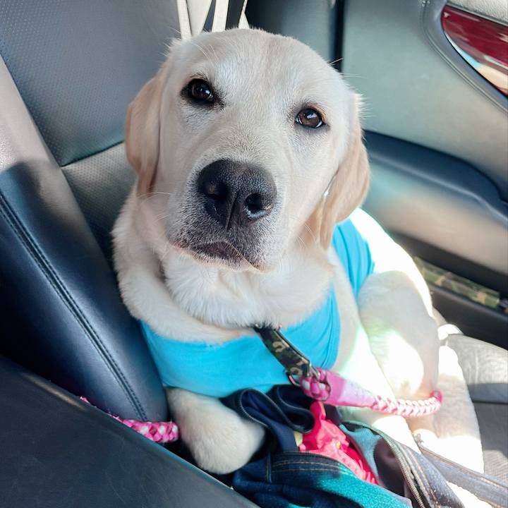 0d1f5f66 a419 48b5 9fe3 eb2642ddc622 1621402018273