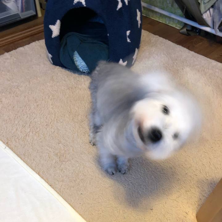 0d1f650f bfc3 4a31 8f4e 534cc2734a35 1635470361339