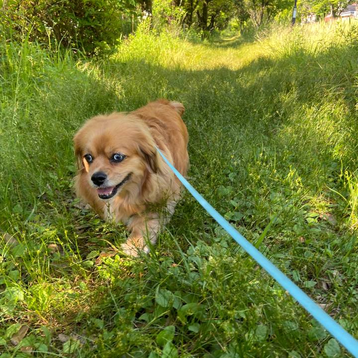 0d1fb194 57ed 42ac b5d0 62538efd8406 1654299833175