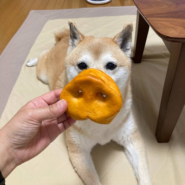 0d1fc153 21b0 4054 879a 777e561d1259 1623155623843