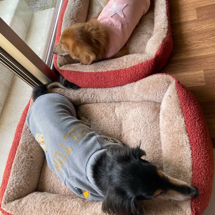 0d1ff5af 1071 4a63 b944 b43584efbe7c 1711860364797