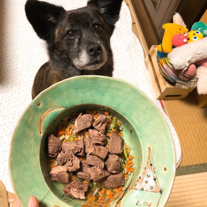 0d20429d c79f 497d 9735 9815ee21c67c 1588939515616