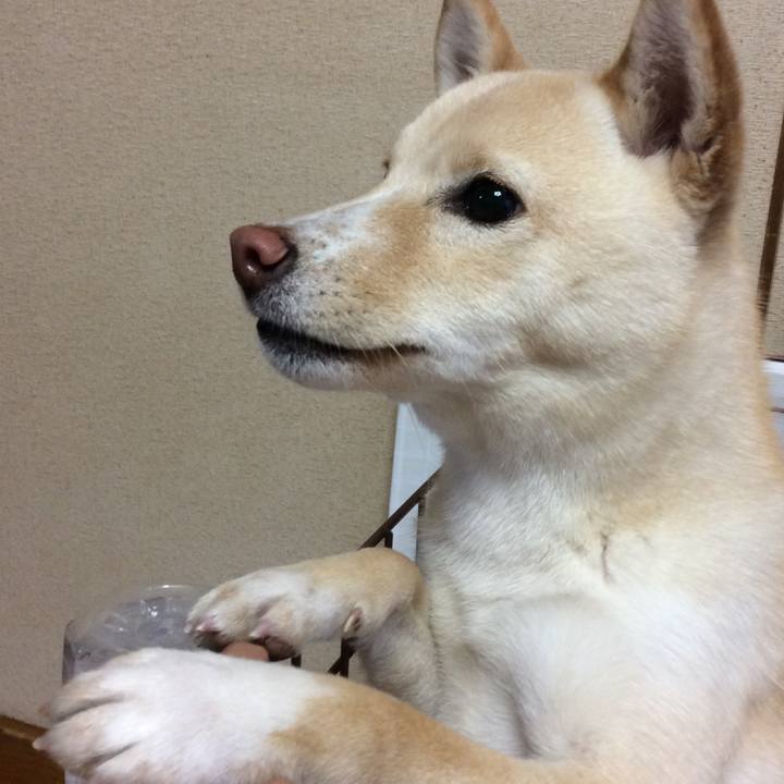 0d2048f5 b29d 4d3e b1f4 30204715a8e4 1513463546381