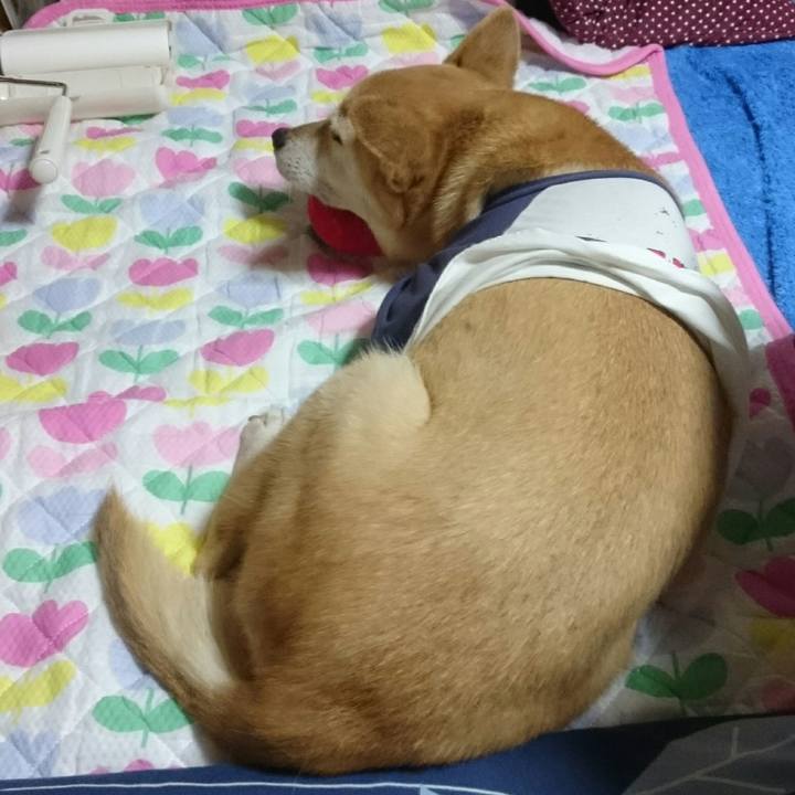 0d209c03 ad40 4848 8743 c2819c46a944 1532133421777