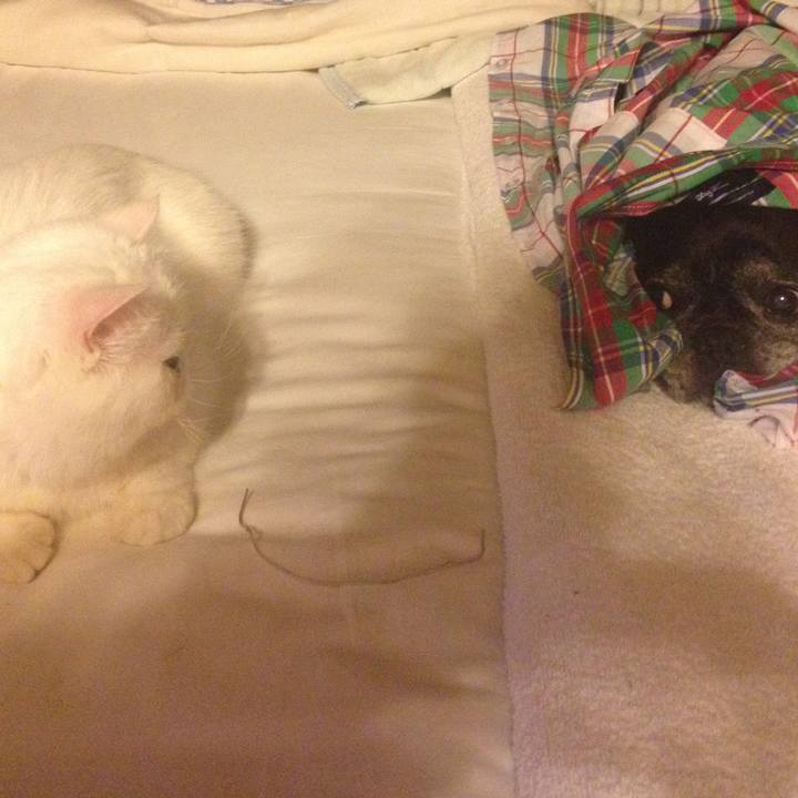 0d209eb6 e96a 4770 9121 50c03a6e946d 1522332118000