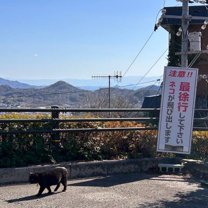 0d20ab76 c050 44d8 be02 9f950a4aec70 1768370008174