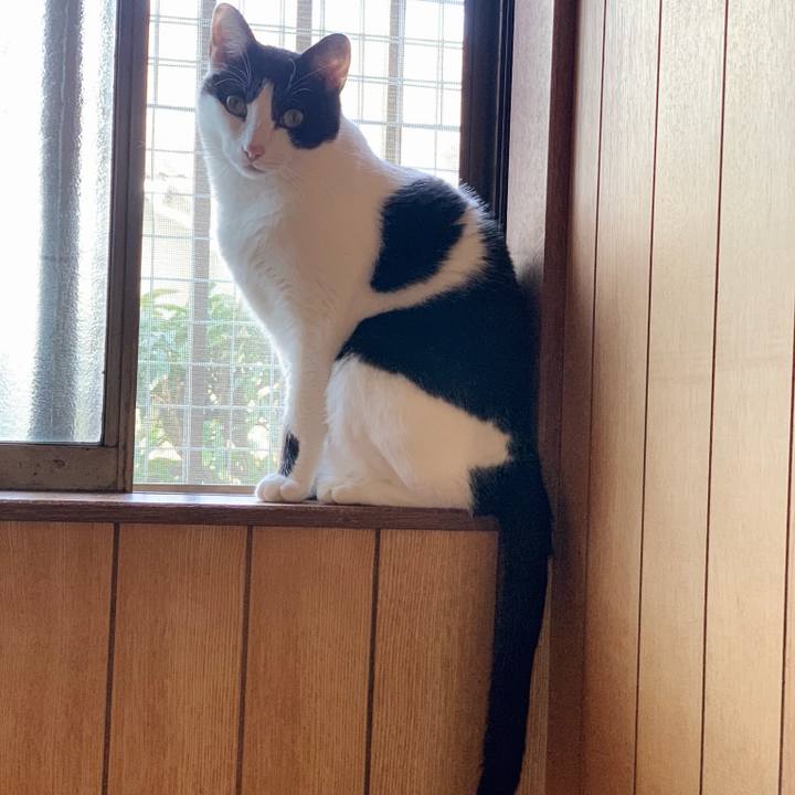 0d20b9d7 b913 483c 9344 d9539ff45e15 1545185062430