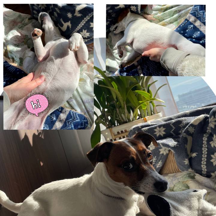 0d20ceb7 3afb 487e 936f 6bdc42cd8402 1675731611196