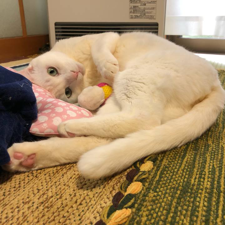 0d20cf9d aa55 4510 9b2f 2c783f529018 1583638813606