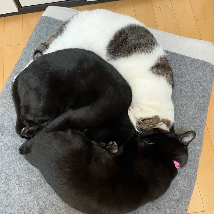 0d20dd7f 4b48 4b18 96a3 5809bf62844c 1683688877239