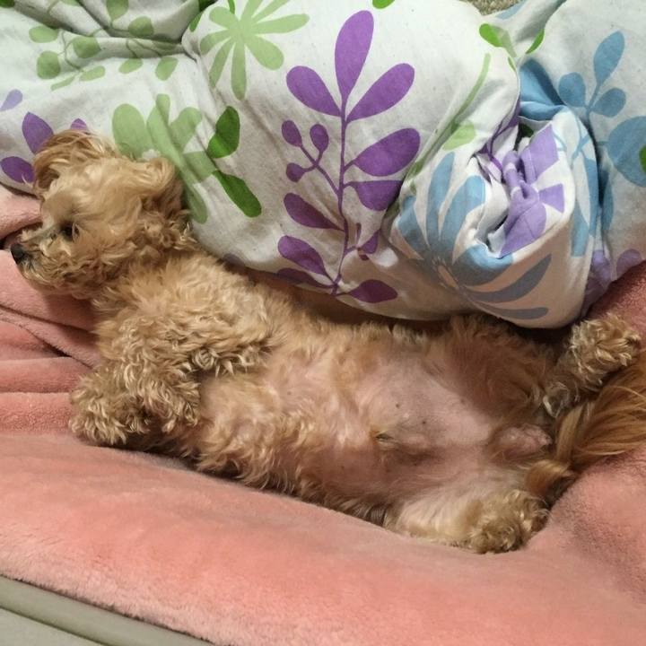 0d20e967 c6e5 4742 9f1a 3bb25ee84f3e 1523889415034