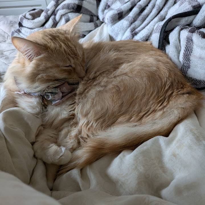 0d20fc7a 7ad8 4626 ba84 0ef9cd649774 1728516153080