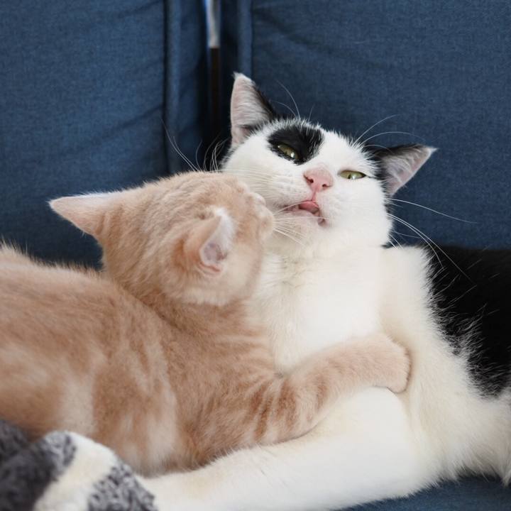 0d21132b f315 4a94 8cb7 df99ec6d6fc7 1543927947880