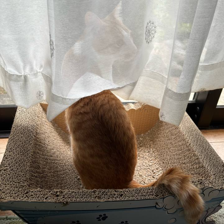 0d21260a c962 4ae0 91be 45c349e17294 1713931979065