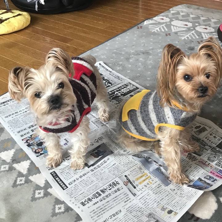 0d214c50 864e 4ef6 9c83 216176f15c82 1554617163816