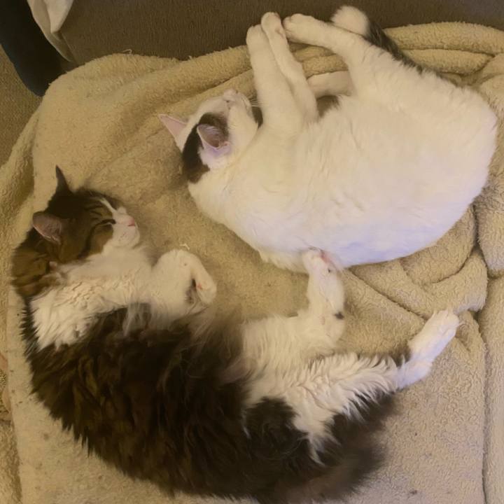 0d215fe3 c698 4dec 9cf5 068042208485 1700210939754