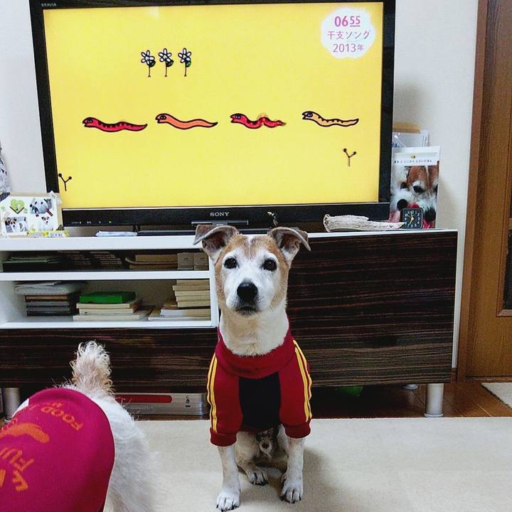 0d216883 2ff9 4807 b046 427323946c2b 1580336395986